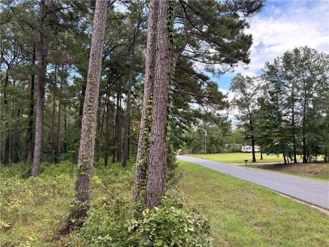 Land for sale in Bentley, Louisiana