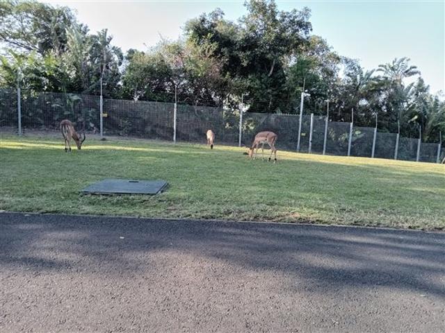Land for sale in Princess Grant, Kwazulu-natal