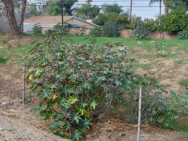 Land for sale in La Puente, California