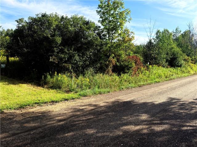 Land for sale in Town of Hartsville, Town of Alfred