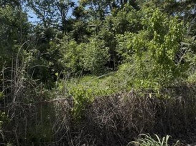 Land for sale in Ark