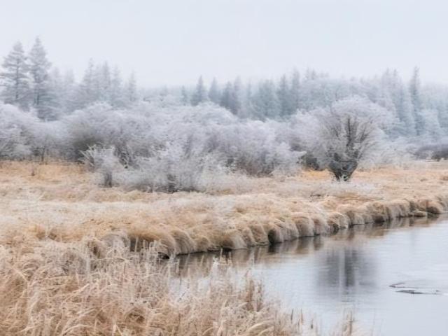 Land for sale in Ottertail, Minnesota
