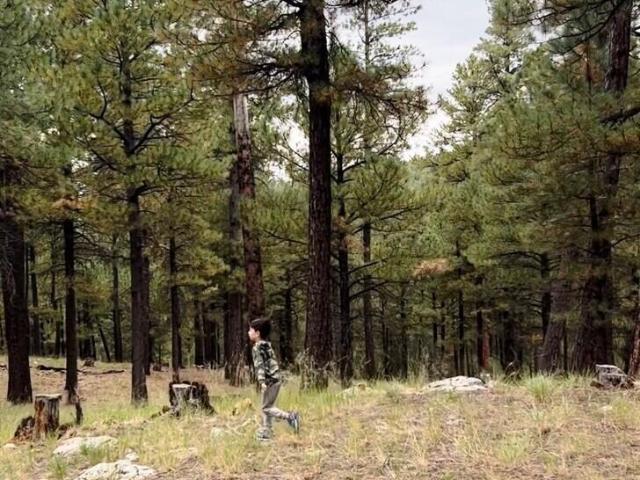 Property for sale in Happy Jack, Arizona