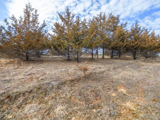 Land for sale in Afton, Minnesota