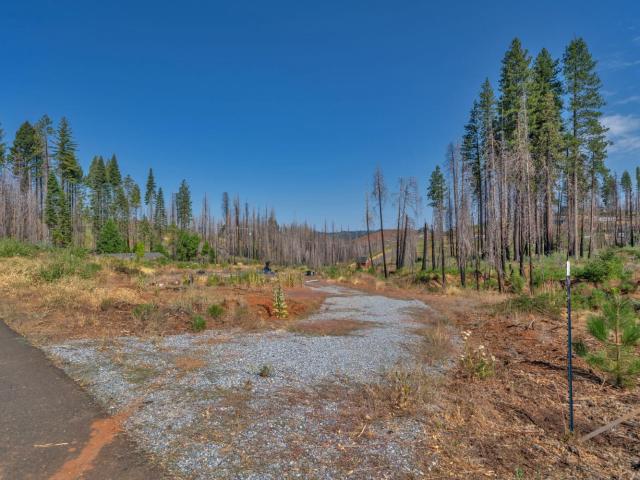 Property for sale in Grizzly Flats, California