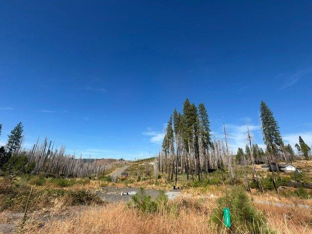 Land for sale in Grizzly Flats, El Dorado County