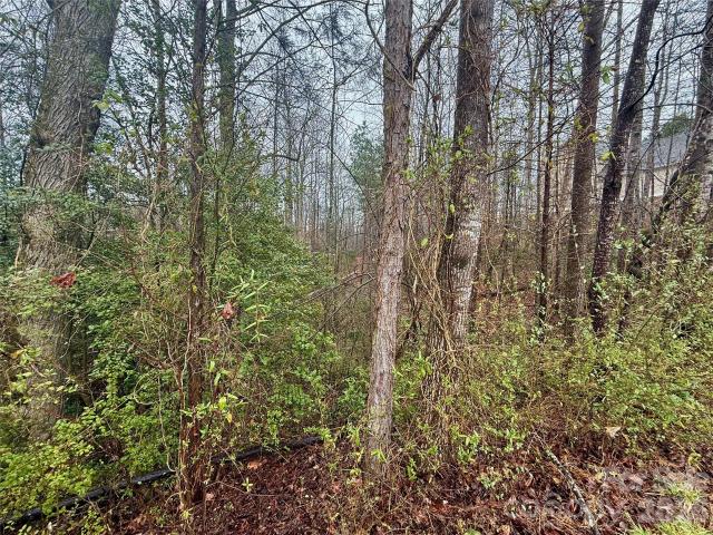 Land for sale in Catawba, North Carolina