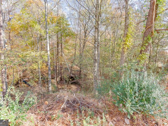 Land for sale in Flowery Branch, Hall County
