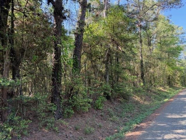 Land for sale in Broaddus, Texas