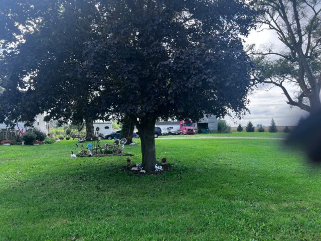 House for sale in Buckley, Iroquois County