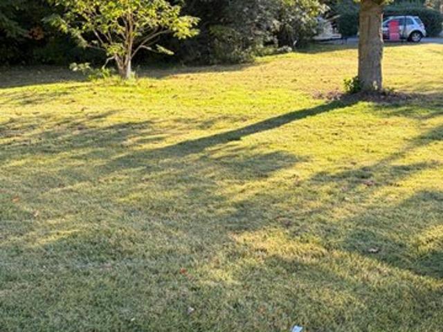 Land for sale in Frederica, Kent County