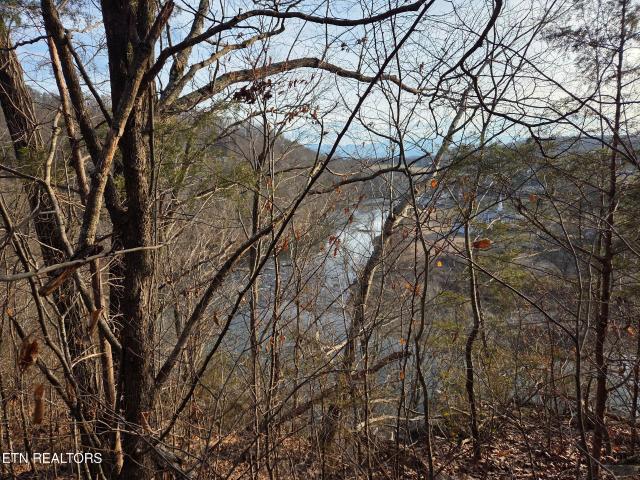 Land for sale in Tennessee