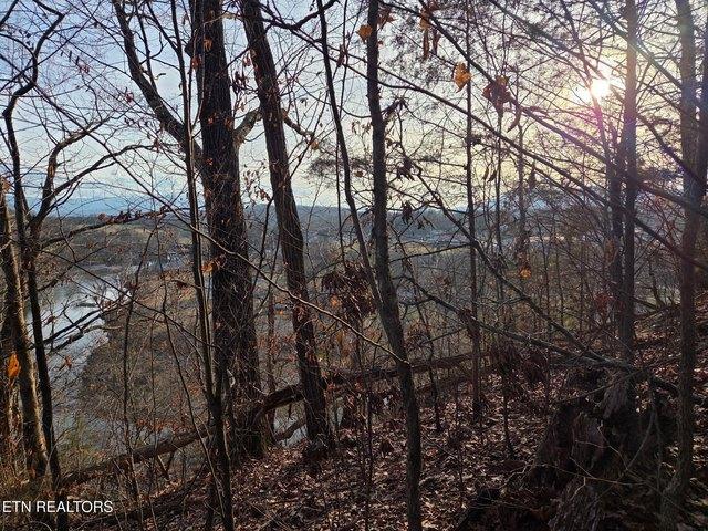 Land for sale in Tennessee