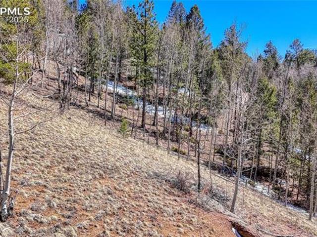 Land for sale in Cripple Creek