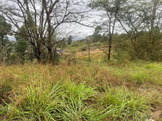 Land for sale in Mopani, Limpopo