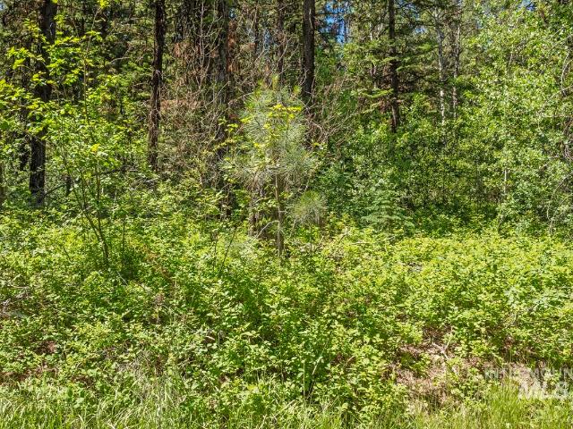 Land for sale in Cascade, Idaho