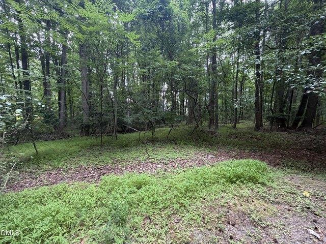 Land for sale in Wake, North Carolina