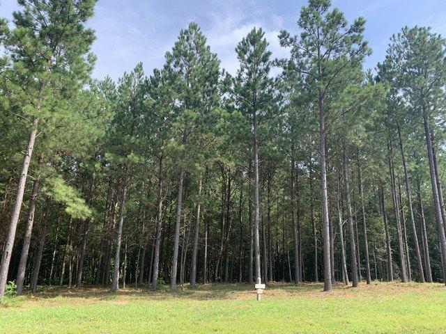 Land for sale in Tennessee