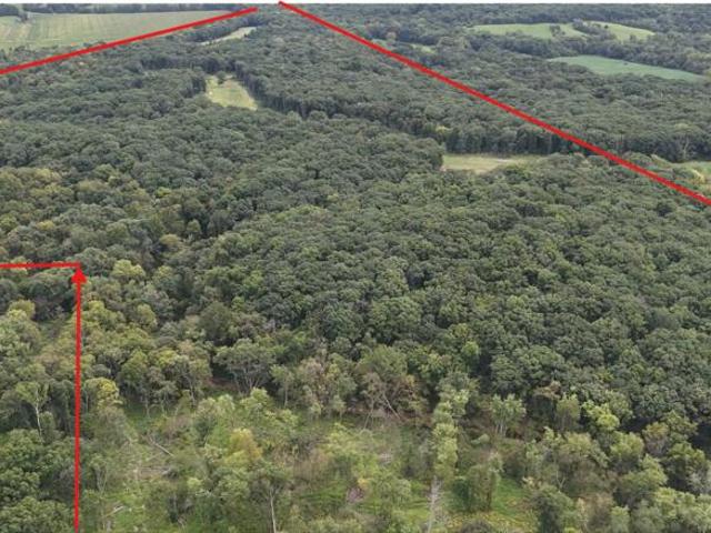 Land for sale in Hurdland, Missouri