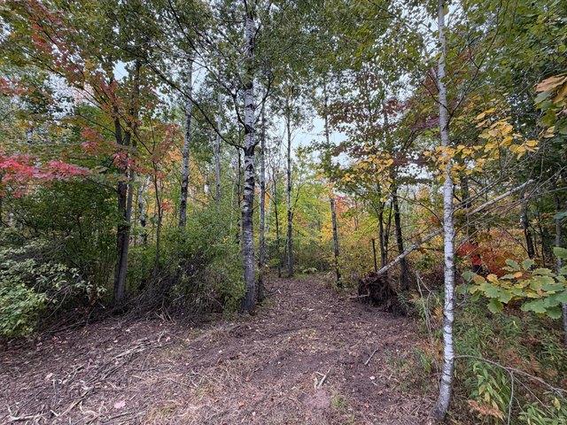 Land for sale in Bruno, Pine County