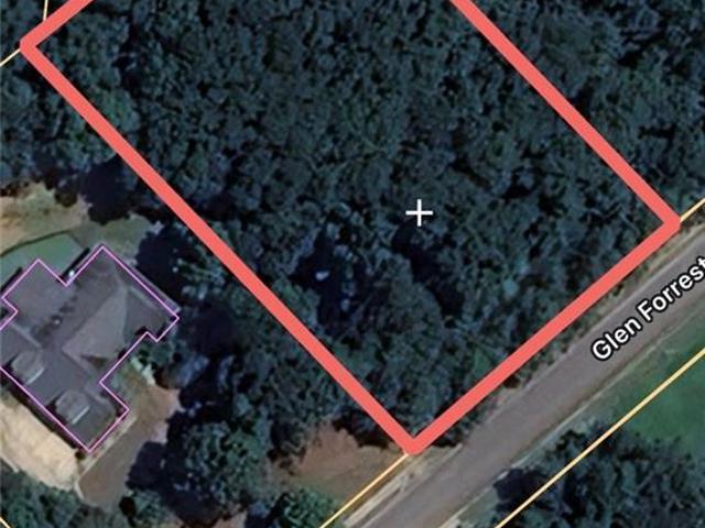 Land for sale in Flowery Branch, Georgia