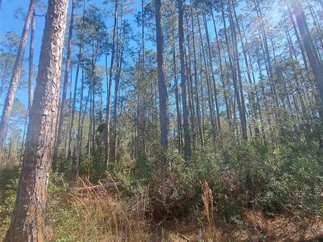 Land for sale in Bunnell, Florida