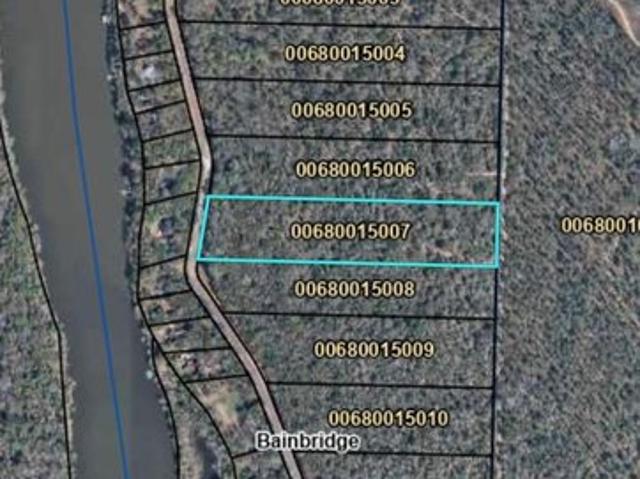Land for sale in Bainbridge, Georgia