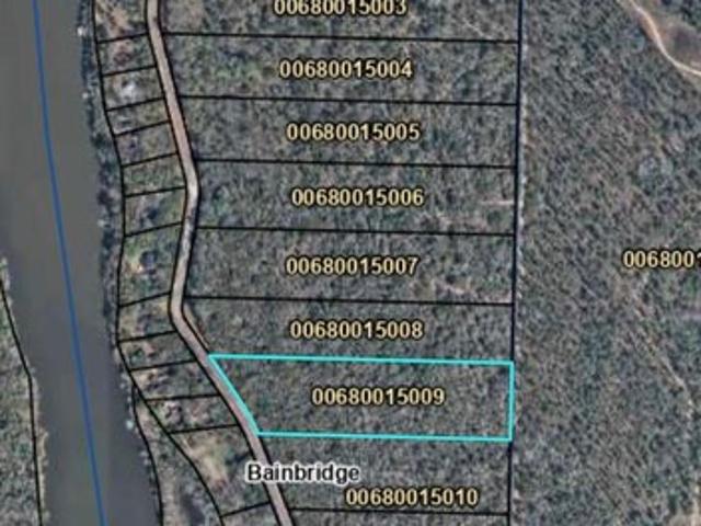 Land for sale in Bainbridge, Georgia