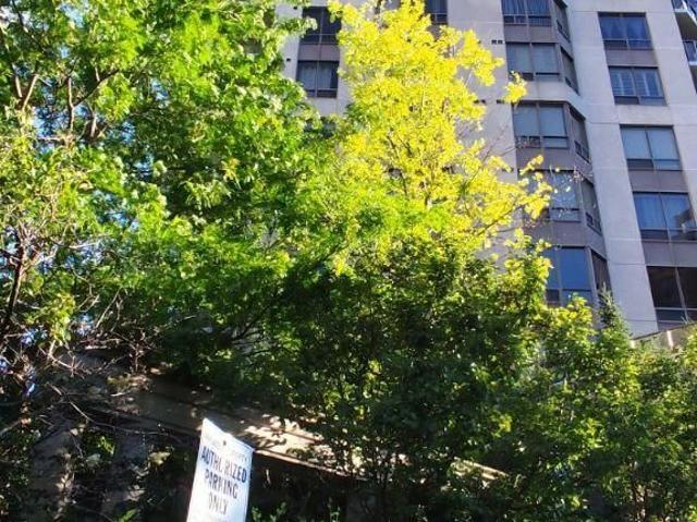 Condo for rent in Woburn, Ontario