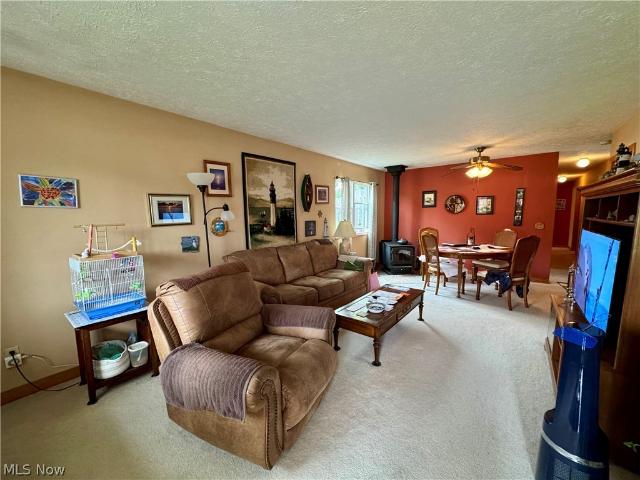 House for sale in Grand River, Lake County