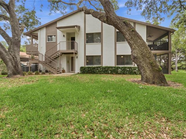 Property for sale in Safety Harbor, Florida