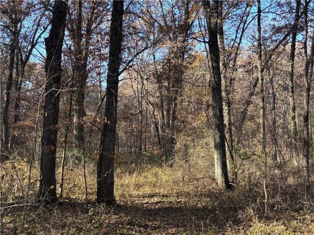 Farm for sale in Milan, Missouri
