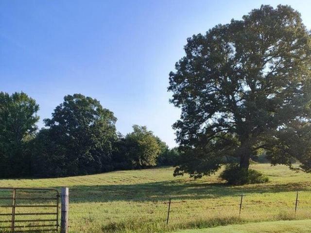 Land for sale in Tate, Mississippi