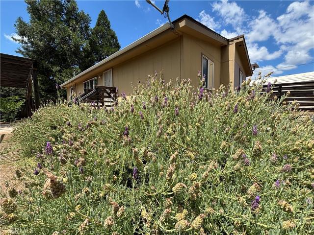 House for sale in Mariposa, California