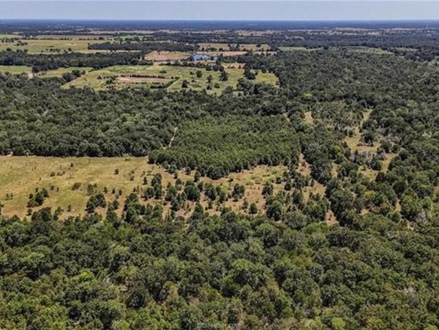 Land for sale in Leon, Texas