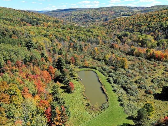 House for sale in Town of Hartsville, City of Hornell