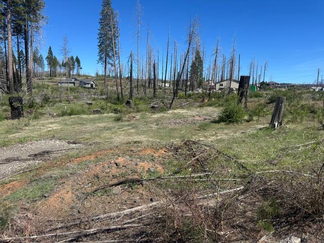 Land for sale in Grizzly Flats, California