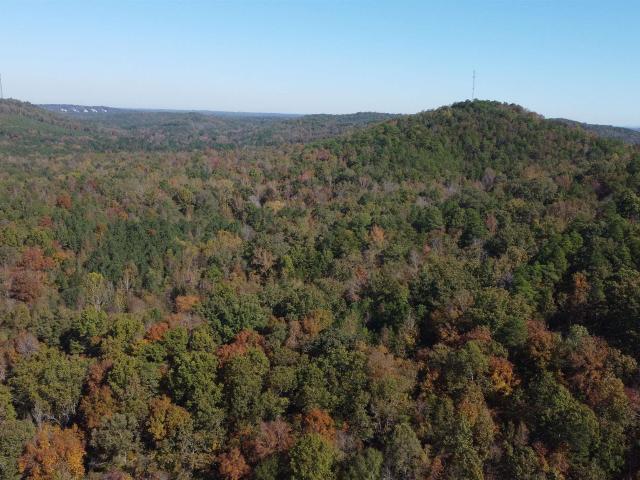 Land for sale in Adger, Alabama
