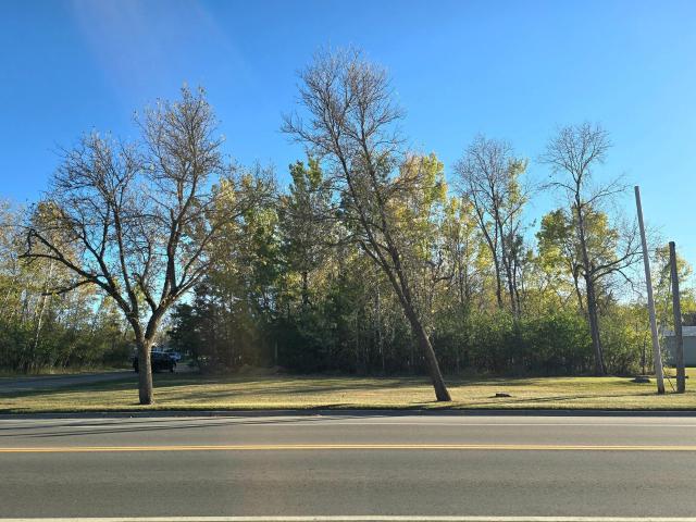 Land for sale in International Falls, Minnesota