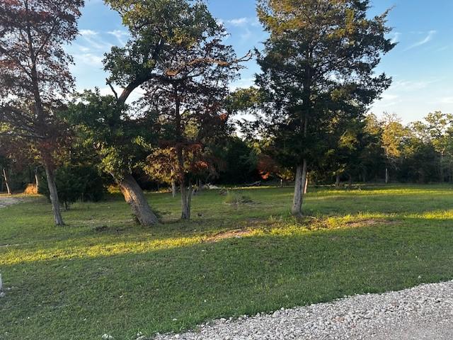 Land for sale in Somerville, Texas