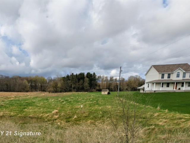 Land for sale in Tuscola, Michigan