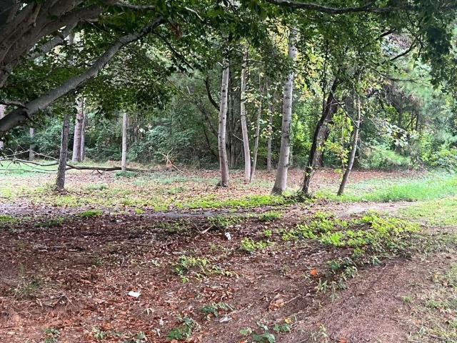 Land for sale in Decatur, Georgia