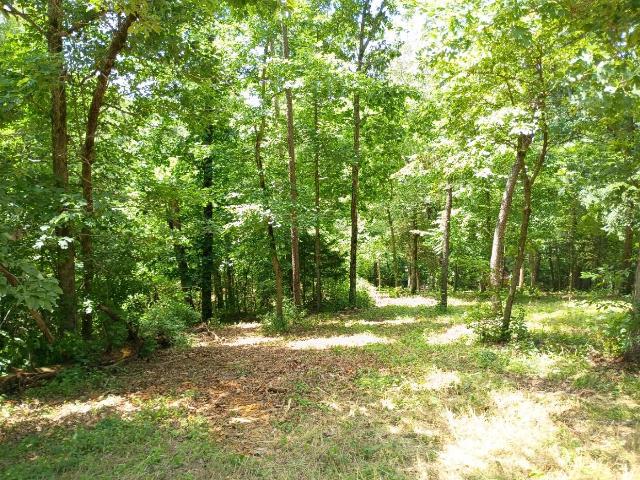 Land for sale in Noel, Missouri