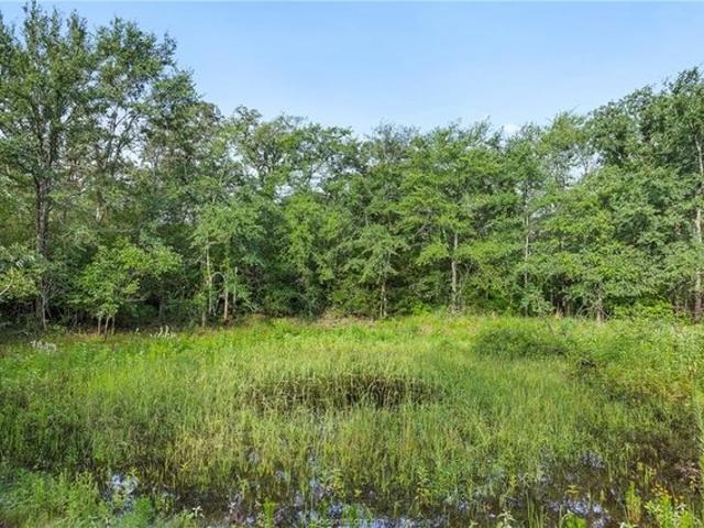 Land for sale in Milam, Texas