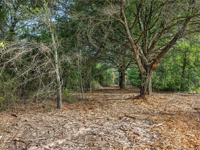 Farm for sale in Milam, Texas