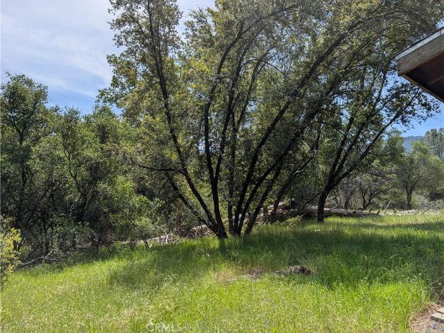 Land for sale in Oakhurst