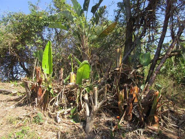 Land for sale in Ugu District Municipality, Kwazulu-natal