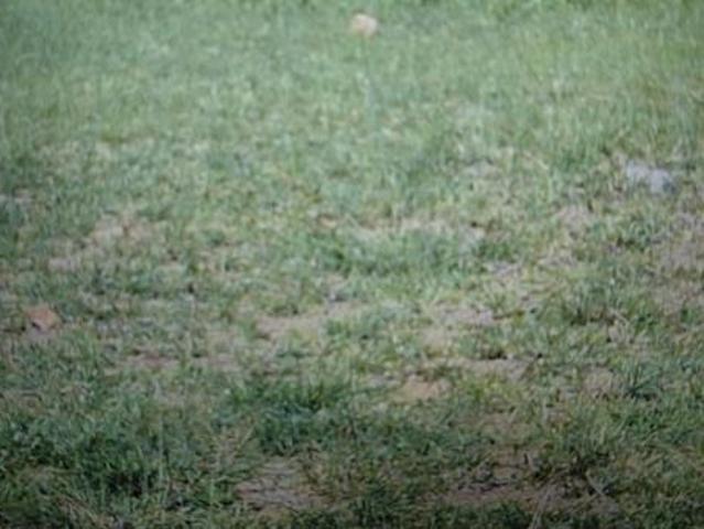 Land for sale in Polokwane, Polokwane Local Municipality