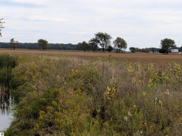 Land for sale in Sumner Township, Gratiot County
