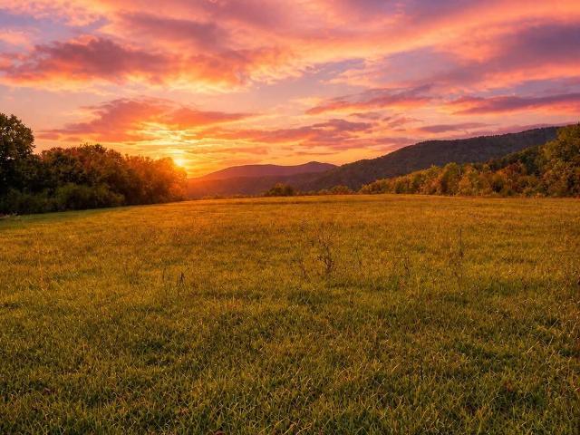 Land for sale in Tennessee